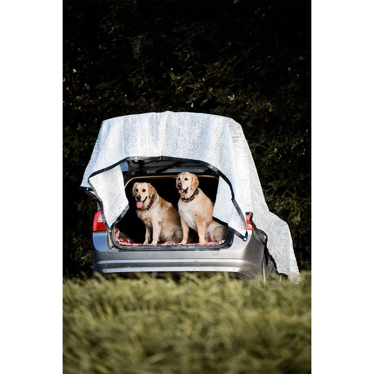 Auto Sonnenschutz Hund Schattennetz